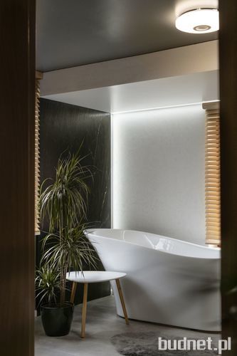 Dekorian Home/ pracownia Kaza Interior Design